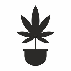 Cannabis plant pot icon on white background vector illustration