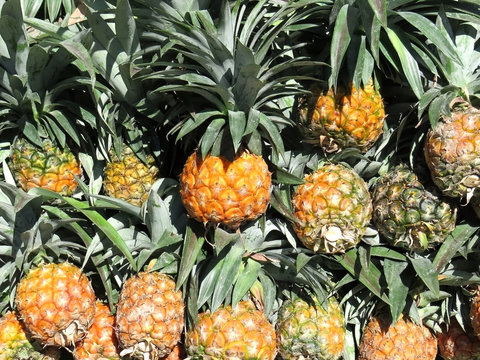 Fresh Pineapple image,  it is very popular food of North Bengal in India. image click at sunny-day , from Siliguri in India.