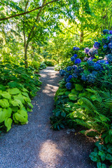 Obraz premium Botanical Garden Path