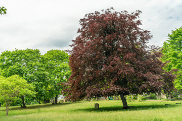 BERLIN, GERMANY - May 10, 2020: . The invalid cemetery in Berlin