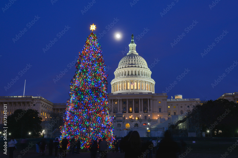 Poster traditional christmas tree and capitol building at night - washington d.c. united states of america