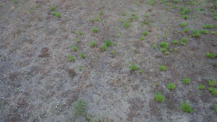 Deserto
