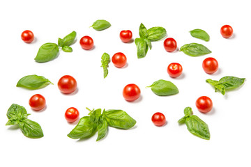 Cherry tomatoes and basil leaves on a white isolated background. Fresh vegetables. Pattern.