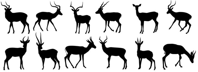 set of antelope, gazelle shadow flat design vector illustration. Hand drawn. - obrazy, fototapety, plakaty