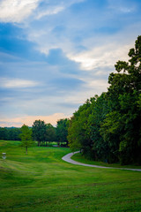 Paved walking trail under trees in a park 