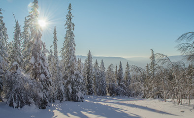 Mystery of the frosty foggy sunrise in the winter Ural mountains. Sun looking through the trees