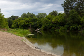 Fototapeta premium Sandy beach on the river in the forest on a sunny day