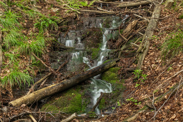 Small waterfall on Divoky creek near Kouty nad Desnou village in summer day