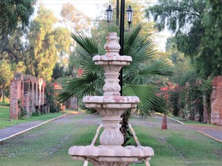 fountain in the garden