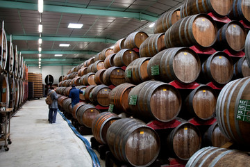 Barrels in the cellar with whiskey, Calvados, cognac, brandy that is ripening