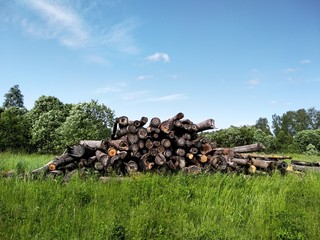 stack of firewood