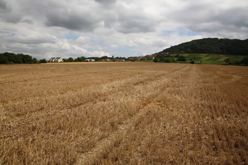 View of Golden Straw Hay German farm field with rural scene during summer near Heidelberg, Germany