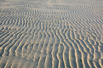 Waves of sand on a beach