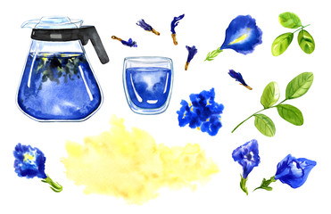 Blue Thai Anchan detox watercolor set. Clitoria, tea, glass, teapot, glass, mug, butterfly pea flower, leaves, watercolor spot. Drawn in watercolor isolated on a white background. Herbal drink.