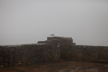 Obraz premium Ancient impregnable abbey fortress on an island in normandy