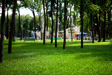 Alleys and paths of the park with tall green trees on a sunny day along which people walk