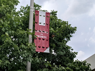 Fulfilling the Promise Flag