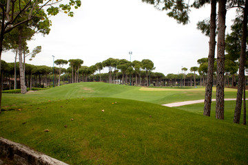 Golf course on a rainy rainy day