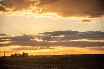 Rural landscape at dusk in the region of the Pampa Biome bordering Brazil and Uruguay