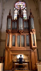 Organiste de grandes orgues