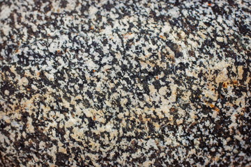 Marble granite texture close up