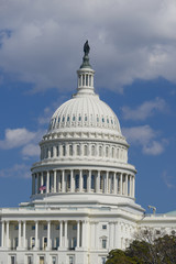 Fototapeta na wymiar United States Capitol Building - Washington D.C. United States of America