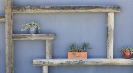 decorative wooden shelves with flower pots