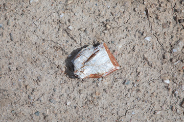 cracked clay after a rainshower and hot sun