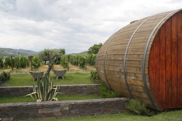 Obraz premium Wine barrels rooms in Peso da Régua, Douro Valley, Portugal
