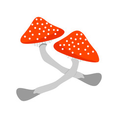 Mushrooms. Fly-agarics. Amanitas. Isolated on white background.  ingredient for the potion. Concept cartoon witch attributes for halloween of magic, witchcraft, boiling potions. Vector cartoon. fall