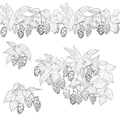 leaves and cones of hops, hops ingredient for making beer, set of compositions for design, vector illustration