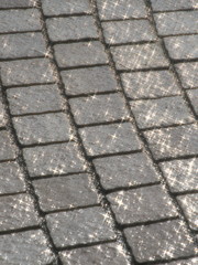 Tokyo,Japan-August 20, 2020: Sudden heavy shower on stone pavement 
