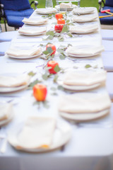 Formal Thanksgiving table in the fall family group get together tradition using white plates in beautiful outdoor setting red apples and green leaves centerpiece