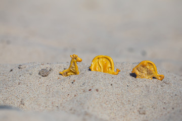 Animal (turtle, giraffe, elephant) shaped crackers in the sand on the beach