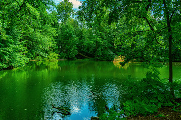 green pond