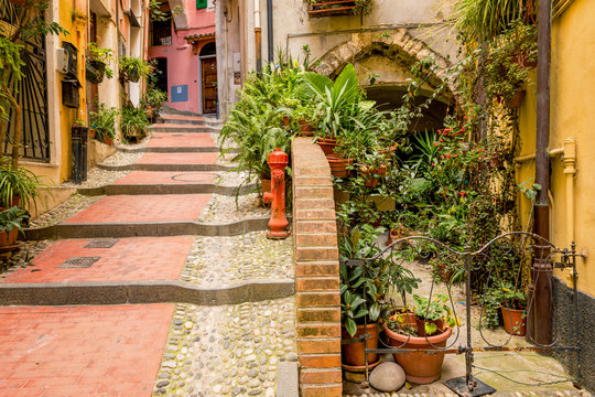 Fototapeta Old town of Sanremo