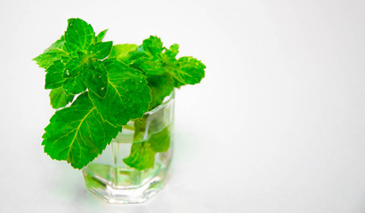  mint in a glass on a white background. healthy eating