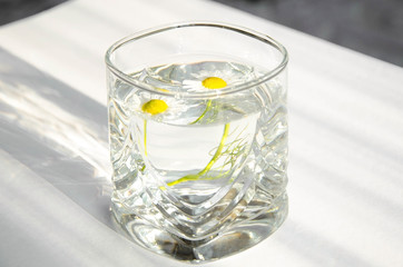  camomile in a transparent glass. folk medicine for diseases