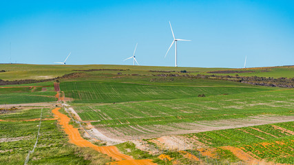 The Emu Downs Wind Farm is a 79.2 MW wind farm in Western Australia and is approximately 200...