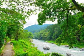 Fototapeta na wymiar 御岳渓谷/Mitake gorge