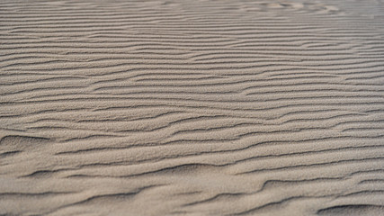 Obraz premium Sandy Cape Recreation Park with white sand, turquoise water, excellent fishing and safe swimming areas makes this a great family camping area close to Perth.