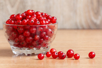 Glass bowl full of Red Currant berries stands on wooden table. Several berries lies on the table next to the bowl. Delicious organic food theme.