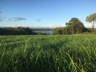 Sunlit meadow looking on Glasshouse lake, county Cavan, Ireland