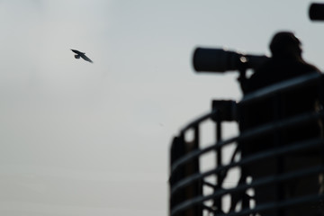 camera with long lens on a tripod, taking photos of bald eagles . Conowingo Dam Bridge in the Cecil County, Maryland