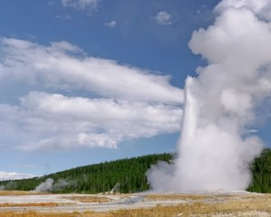 Wonderful landscapes, animals, waterfalls, volcanoes and trees