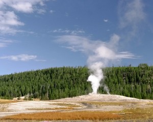 Wonderful landscapes, animals, waterfalls, volcanoes and trees