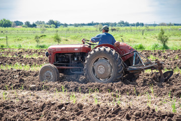 Man working the field with tractor