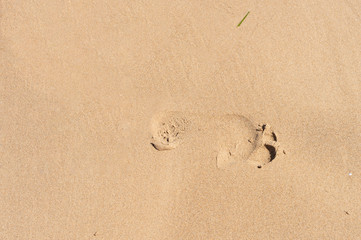 FOOTPRINT ON THE SAND OF THE BEACH