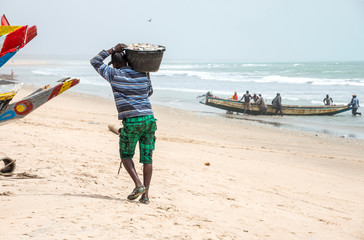 Transportando pescado en la playa de Tanji, Gambia - Powered by Adobe
