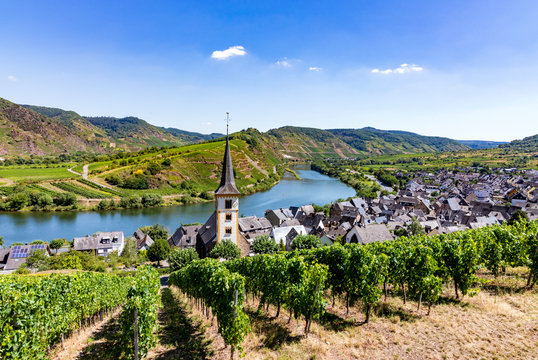 Bremm mit Weinreben und Moselschleife